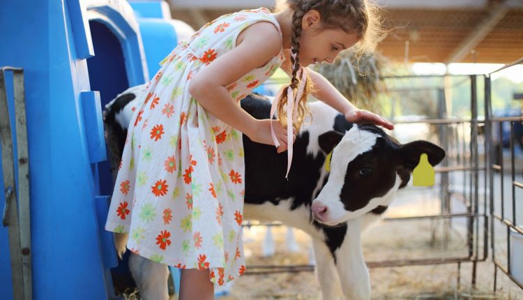 Agroturystyka dla dzieci ze zwierzętami 3