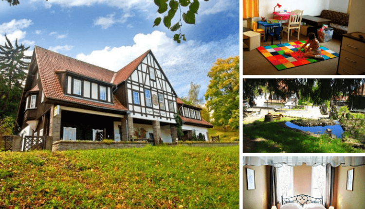 Bezpłatny hotel dla kotów i przyjazny ich opiekunom TOP 3. Hotel Krasnoludki**