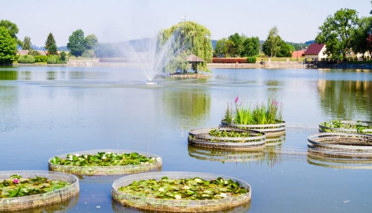 Kudowa Zdrój i Park Zdrojowy