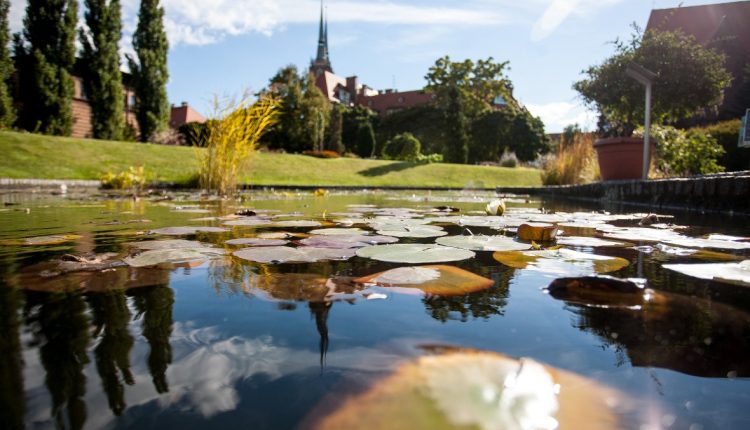 Ogród botaniczny Uniwersytetu Warszawskiego