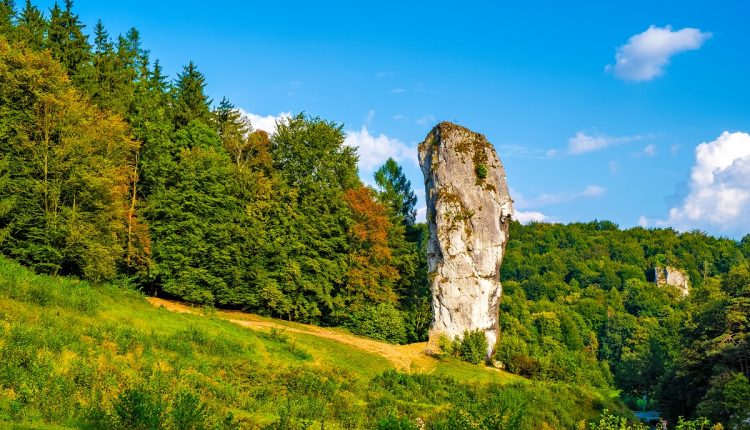 Szlak Orlich Gniazd – co warto zobaczyć